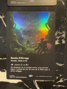 MTG EOE Poster Viewport Land — Breeding Pool FOIL FR — NM French - Imagen 1 de 1