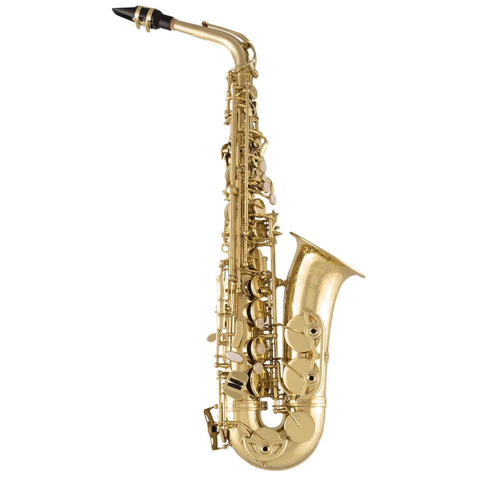 Selmer Model SAS711 Professional Alto Saxophone in Clear Lacquer