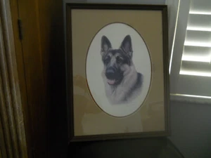 LOUIS FRISINO Hund KUNSTDRUCK Gr/N 156/900 Deutscher Schäferhund RAHMEN Passepartout - Bild 1 von 7