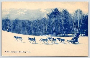 White Mts National Forest NH~Dog Sled Team of Eight 1930s Meriden CT Dutone - Picture 1 of 2