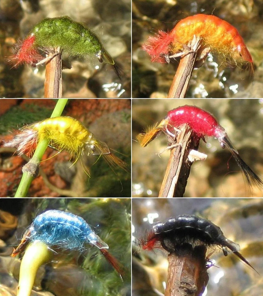 Gilchrist Fliegen. 3 x BACHFLOHKREBSE / SHRIMPS. Farbe und Größe zur Auswahl - Bild 1 von 1