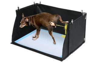 HOMBYS Orinal Interior Perro 24" x 24" x 17.7" NUEVO - Imagen 1 de 2