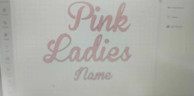 T shirt iron on vinyl HTV transfers A4 pink ladies  with small breast name - Image 1 of 3