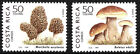 Costa Rica - Einheimische Speisepilze Satz postfrisch 1999 Mi. 1509-1510