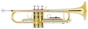 Bb Trompete Blasinstrumente Jazztrompete Gold lackiert Brass Koffer ML Mundstück - Bild 1 von 6