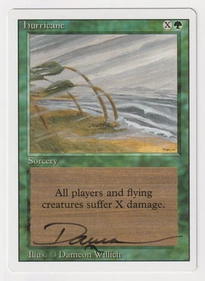 Signed Hurricane LP Revised Edition Artist Dameon Willich 1994 MTG Magic Vintage - Image 1 of 2