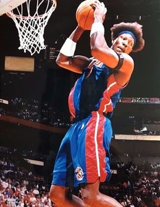 Detroit Pistons Ben Wallace Rebound Photograph 11 x 14 - Picture 1 of 1