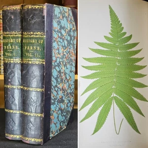 1856-64 Ferns British and Exotic Two Volumes E. J. Lowe 60 COLOUR PLATES - Picture 1 of 20