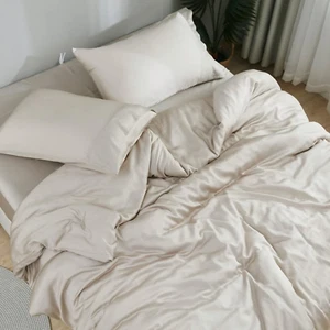 DOZ Sheet Set, 100% Viscose Derived from Bamboo, Organically Grown, Buttery Soft - Picture 1 of 6