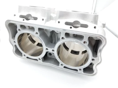 Polaris 800 RMK Pro Assault Dragon Cylinder OEM 3022201 2010 Foto 1 de 4