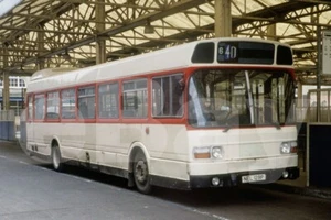 Bus Photo - Pride of the Road (Hull) NEL129P National Hants & Dorset & Quickstep - Picture 1 of 1