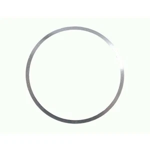 Fisher 1P528538982 SHIM, SEAT RING - Picture 1 of 1