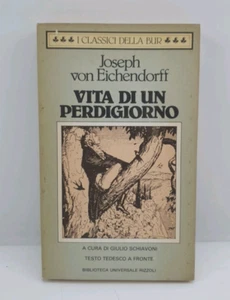 VITA DI UN PERDIGIORNO - JOSEPH VON EICHENDORFF - RIZZOLI - 1984 - Imagen 1 de 6