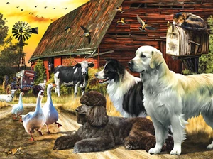Farm Lives Matter Puzzle von SunsOut 1000 Teile - Bild 1 von 1