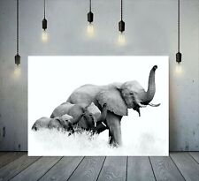 Elephants Family Black and White Printed Canvas Wall Art Picture or Poster Print