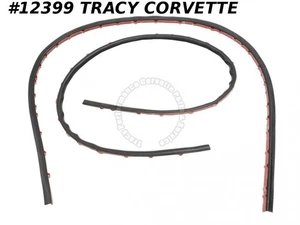 Corvette 10404247 1997-2013 capó a guardabarros lateral C6 escotilla trasera sello lateral con par S - Imagen 1 de 1
