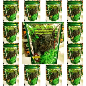 6 Pack Organic Tea Jiaogulan Dried Thailand Herbs 100% Pentaphyllum Gynostemma. - Picture 1 of 7