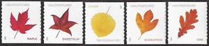 USA Sc. 5971-5 (post card) Vibrant Leaves 2025 MNH coil singles - Picture 1 of 1