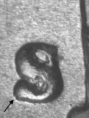 1947-S/S Unlisted RPM#???  Roosevelt Silver Dime~GEM BU Uncirculated #1B - Image 1 of 3