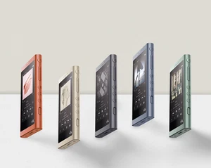 Reproductor de audio digital Sony Walkman NW-A55 16 GB 5 colores de Japón usado - Imagen 1 de 12