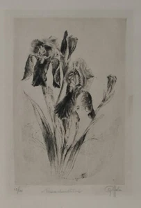 Peter Halm - Peter von Halm/handsigniert/30 Exemplare/ Radierung/Schwertlilien - Bild 1 von 4