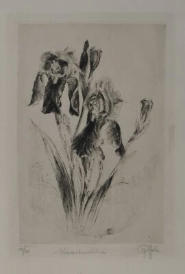 Peter Halm - Peter von Halm/handsigniert/30 Exemplare/ Radierung/Schwertlilien - Bild 1 von 4