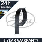 Gates V-Ribbed Belts For Peugeot 206 207 307 Citroen C3 C2 C4 5Yr Warranty G3630