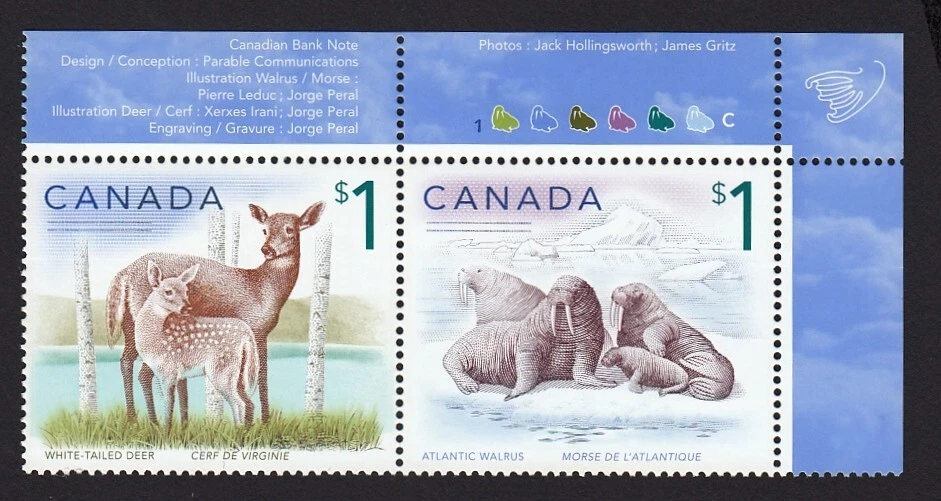 Ciervo con lechón y morsa = litografía y grabado = Canadá 2005 #1689a par MNH Foto 1 de 1