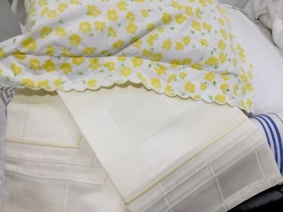 $900 Pratesi Italia NUEVO CON ETIQUETAS 2 piezas St Shams 760TC Novecento 100 % algodón jacquard 3 líneas Foto 1 de 4