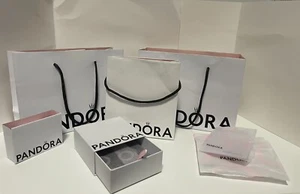Pandora Gift Bag and Box Lot #3 - Picture 1 of 2