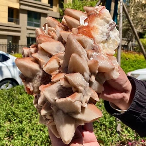 13,5 Pfund Dogtooth Calcit Cluster - stachelige Kristallformation - seltenes Exemplar - Bild 1 von 15