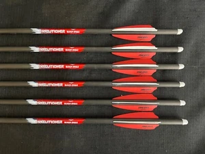 Black Eagle Executioner 20" .003 Crossbow Bolts 3" Fletched 1/2 Dozen BRAND NEW - Picture 1 of 4