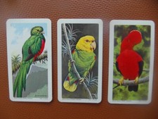 Brooke Bond Canada "Tropical Birds" 1964 original teacards Nos18,15,33/48cv£2.25