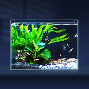 Serbatoio per pesci in vetro ultra trasparente 3 galloni, acquario in ferro basso senza bordo per Betta/Nano/G - Foto 1 di 5
