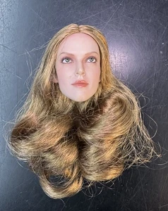 1/6 scale Female Woman Girl Dark Blond Head Sculpt Hair 12" Figure 056 - Picture 1 of 5
