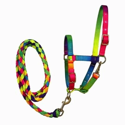 MINI SHETLAND RAINBOW HEAD COLLAR & MATCHING LEAD ROPE SET,  *FREE POSTAGE* - Image 1 of 3