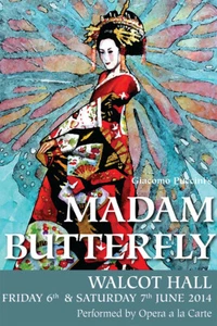 Theater Opera Show La Traviata Madam Butterfly Vintage Art Wall - POSTER 20x30 - Picture 1 of 4
