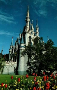Walt Disney World Cinderella Castle Fantasyland Chrome Postcard B80 - Picture 1 of 2