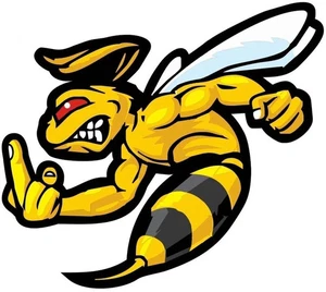 Nostálgico Super Bee Dedo Medio Pegatina Parachoques Laptop Vinilo Yeti 5" - Imagen 1 de 2