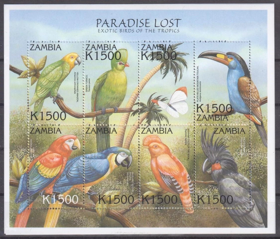 TP665 - GAMBIA 2000 BIRD/PALM COCKATOO/PARROTS/TOUCAN/COCK OF THE ROCK SC888 MNH - Image 1 of 1