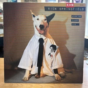 Rick Springfield - Working Class Dog LP ~ 1981 RCA RPL-8083 ~ Japan PROMO Import - Picture 1 of 7