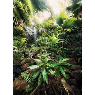 Nuevo fondo de pantalla mural XXL2-527 Komar Scenics 2 espíritus multicolor Komar  Foto 1 de 3