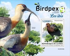 Ibis Birds BIRDPEX 9 MNH Stamps 2023 Guinea S/S