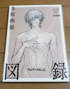 Slow Damage Original Art Exhibition Catalog Book Nitro + Chiral Japan Limited - Picture 1 of 1