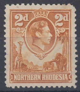 NORTHERN RHODESIA 1938 2d. YELLOW-BROWN MINT (ID:877/D50754) - Picture 1 of 1