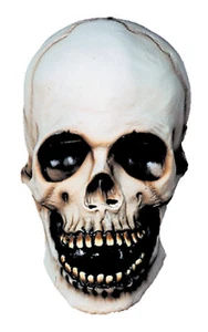 Skull Mask - Distortions Unlimite - Picture 1 of 1