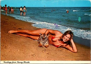 Bikini Girl laying on beach with a Baby Tiger FLORIDA CONTINENTAL POSTCARD D19 - Picture 1 of 2