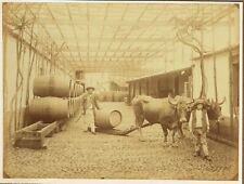 Madeira, Portugal - Barrels of wine being transported. 1870s albumen photograph
