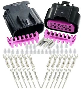 Delphi 12-Pin 15AMP GT 150 Gauge 22 20 GA Wire Kit 12-Conductor Sealed Connector - Picture 1 of 9