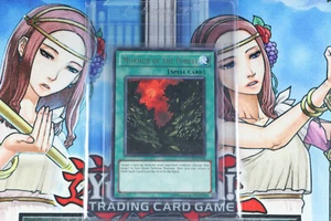 YuGiOh Spell Card Murmur of the Forest PHSW-EN058 Unlimited Edition Rare - Picture 1 of 2